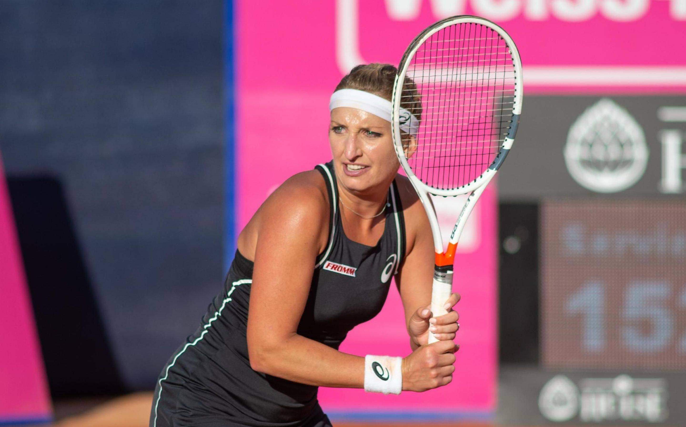 网页版登录入口-波士顿凯尔特人队教练