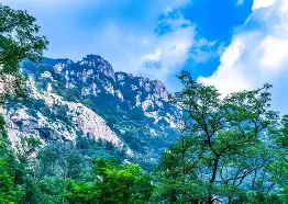 中国九游体育-离谱！山东泰山清晨门线救险转会期北京国安调整名单以备欧冠，梅西连续五场比赛得分超过精彩发挥的简单介绍